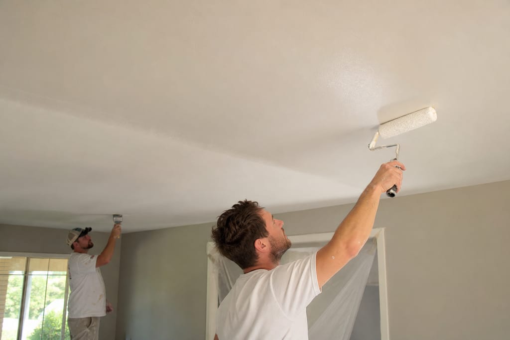 Ceiling Paint photo